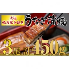 うなぎ問屋の厳選!備長炭手焼　うなぎ蒲焼3尾(450g) 1773-1