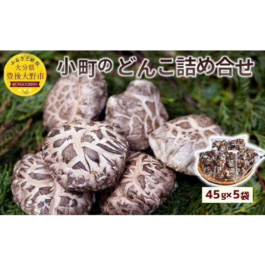 ふるさと納税 大分県 豊後大野市 008-300 小町のどんこ詰め合せ どんこ椎茸 45g×5パック 合計225g