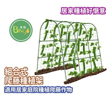 賓購 爬藤植物種植架 種菜瓜 種絲瓜 南瓜 百香果種植 蕃茄種植 豆類種植 快速組裝不費力 都市農夫 陽台農夫 庭院種菜