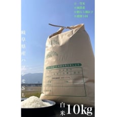 養老町産　岐阜ハツシモ　10kg　白米　全3回