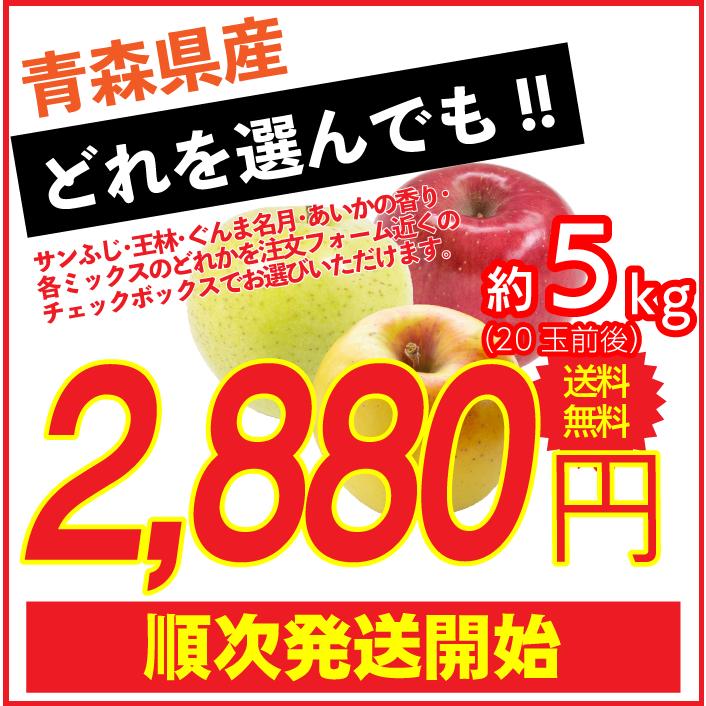 訳ありりんご 5kg 20玉前後 訳あり 青森県産 送料無料 葉取らずりんご 蜜入り サンふじ リンゴ 林檎 お得用 果物 フルーツ ５kg