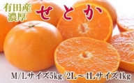 一度は食べていただきたい「有田産のせとか」約4～5kg（サイズおまかせ）★2024年2月中旬頃より順次発送