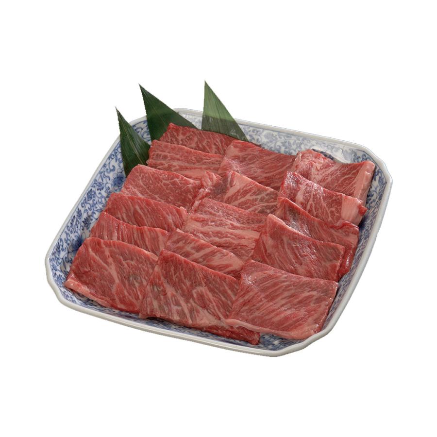 宮崎 宮崎牛 焼肉 （モモ・バラ）500g 