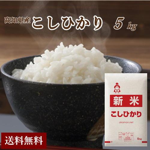 新米 令和5年産 5kg 高知県産 コシヒカリ (5kg×1袋) 米 送料無料 令和5年