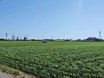 千坪大面寬優質都計內農地附台電灌溉設施完善｜雲林縣東勢鄉東北段