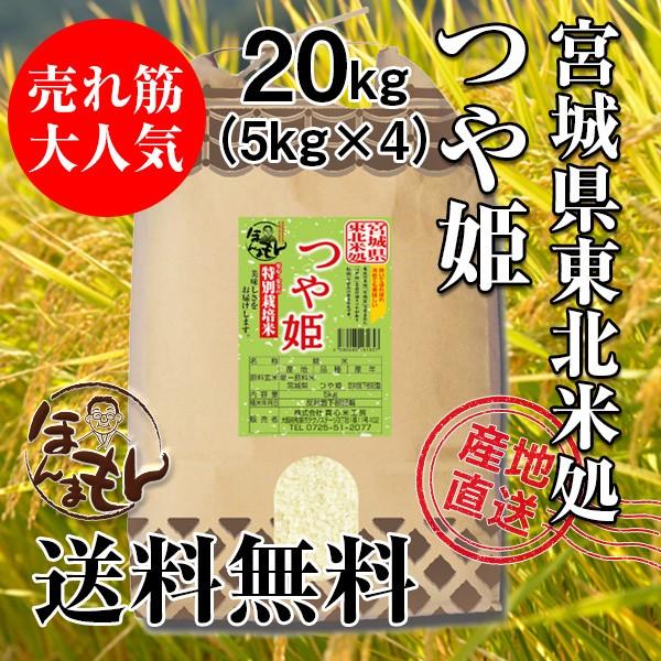 お米 20kg 5kg×4 宮城県産つや姫 令和4年産 新米 送料無料 NO.1の食味