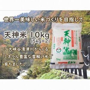 ふるさと納税 令和5年度新米　新潟魚沼産コシヒカリ 天神米 5kg×2袋 新潟県十日町市