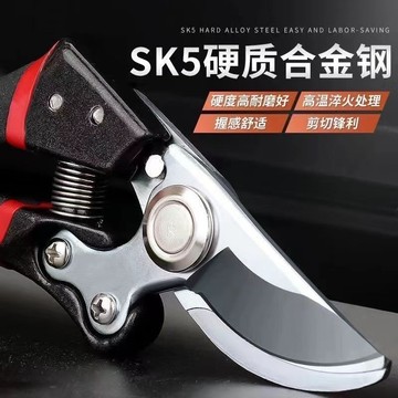 ⚡免運臺灣有貨⚡德國工藝進口鋼枝剪剪樹剪子果樹剪修枝剪刀家用花木葡萄修剪樹枝