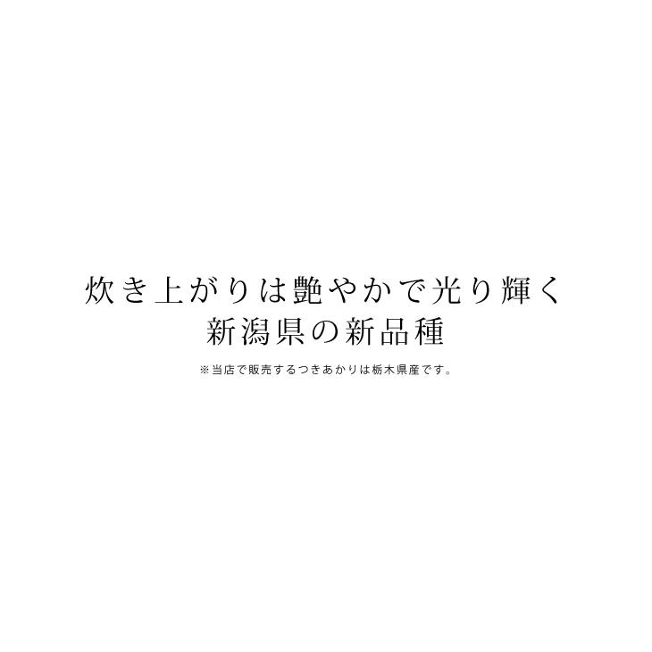 米 30kg お米 つきあかり 送料無料 白米 新米 令和5年 栃木県産（北海道・九州 300円）沖縄・離島不可