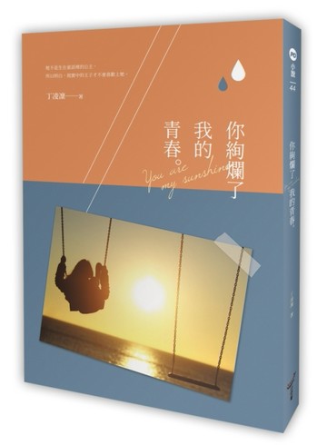 你絢爛了我的青春[二手書_良好]
