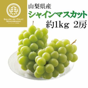 [最短順次発送]  シャインマスカット 2房 約1kg 約500g x 2房 山梨県産 笛吹  秋ギフト  果実ギフト