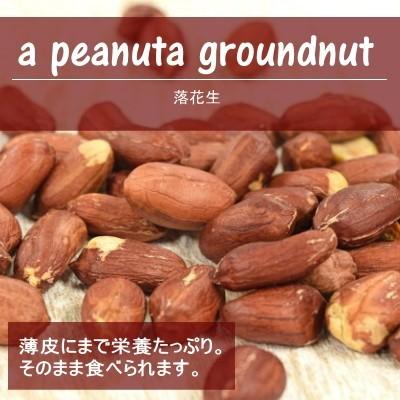 ナッツ 無塩 千葉県産 落花生 ナカテユタカ 300g 無添加 無油 おつまみ おやつ 非常食