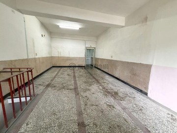 「雙鐵首排．綠園道金透店」｜高雄市三民區恆豐街
