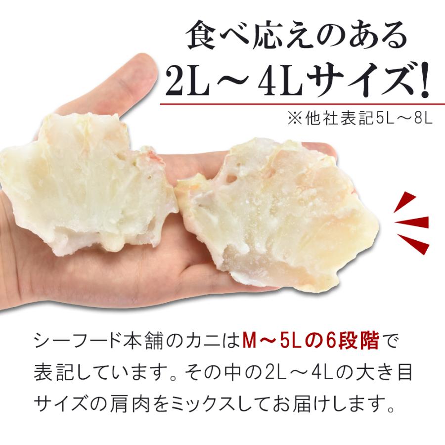 生食用 肩肉 500g×2 本ずわいがに ズワイガニ お刺身 お手頃 お買い得 お歳暮