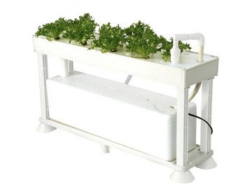 (免運) PLAABO 日本製 水耕栽培機 水耕機 種菜機 種植機 25株 葉菜類 蔬菜 無土栽培 水培 家庭菜園 療癒小物 禮物 日本代購
