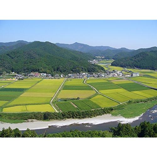 令和3年 高知県 四万十町産　仁井田米　白米　幻の香る米　5Ｋ