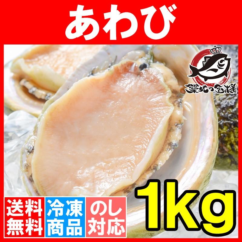 アワビ あわび Lサイズ 1kg 1箱12個入り(殻つきお刺身用アワビ 翡翠の瞳)