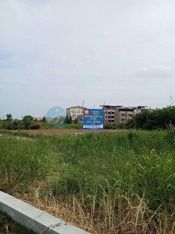 岡山橋科都內友情段方正農地稀有釋出｜高雄市岡山區友情段