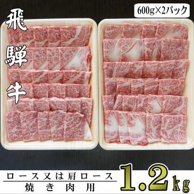 ふるさと納税 輪之内町 A5ランク飛騨牛焼き肉用1.2kg(ロース又は肩ロース)