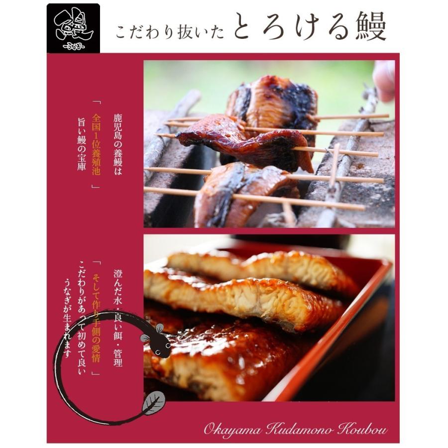 鹿児島県産 特大 うなぎ 200g×3尾 蒲焼 真空パック入り 国産 贈答用 ギフト 夏ギフト プレゼント 御中元 御歳暮 お取り寄せ