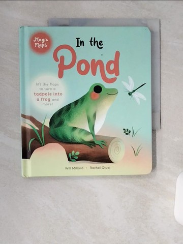 【書寶二手書T4／少年童書_VA7】In the Pond: A Magic Flaps Book_Qiuqi, Rachel