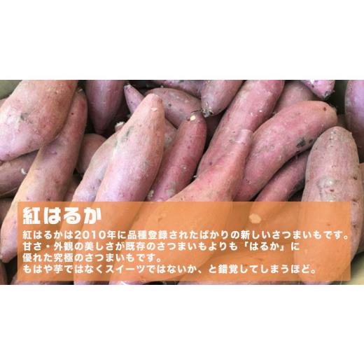 ふるさと納税 茨城県 古河市 DM02_オーガニックさつまいも(紅はるか）10kg土つき〈茨城県共通返礼品・かすみがうら市〉※2023年9月上旬〜…