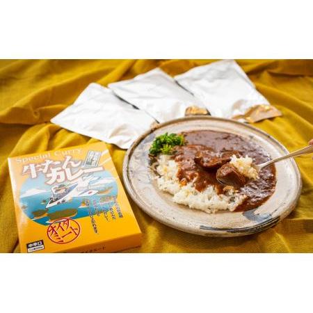 ふるさと納税 カレー　大きめ牛タンがゴロゴロ入った　牛たんカレー（7袋）レトルトカレー　常温保存　宮城県　東松島市　レンチン　ローリン.. 宮城県東松島市