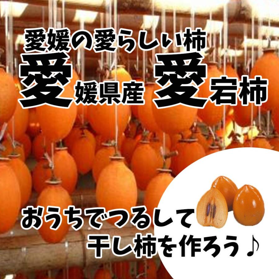 渋柿 かき 愛宕柿 干し柿用 愛媛県産 ご家庭用 10ｋｇ 送料無料