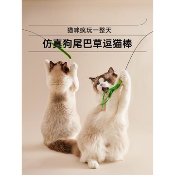 狗尾巴草逗貓棒長桿耐咬貓玩具自嗨解悶手持貓咪玩具小貓逗貓神器