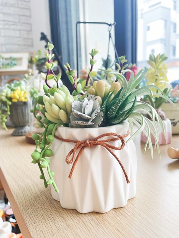 黏土仿真多肉盆栽 開幕花禮 開幕盆