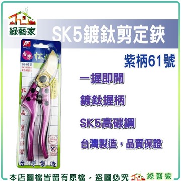 【綠藝家】台灣製SK5鍍鈦剪定鋏 紫柄61號(A061) 果樹剪 修枝剪 園藝剪刀 強力耐用 MIT品質