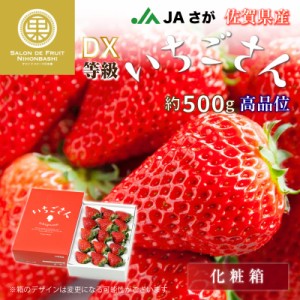 [予約 2024年1月5日-1月30日の納品] いちごさん 約500g 佐賀県産 高品位 化粧箱