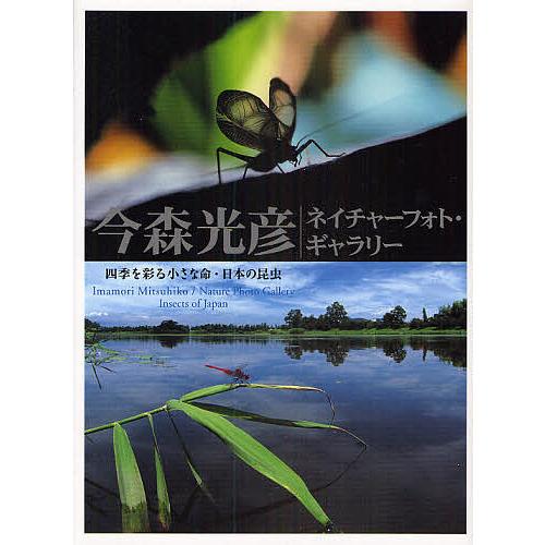 今森光彦ネイチャーフォト・ギャラリー 四季を彩る小さな命・日本の昆虫