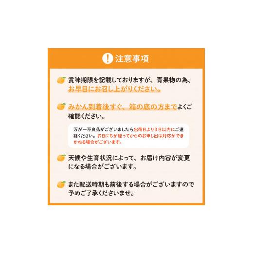 ふるさと納税 広島県 呉市 川田柑橘園 広島県産大長柑橘 「不知火（しらぬい）」4kg