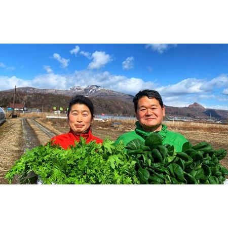 ふるさと納税 新鮮採れたて！旬の伊達野菜セット（6〜8種） 北海道伊達市