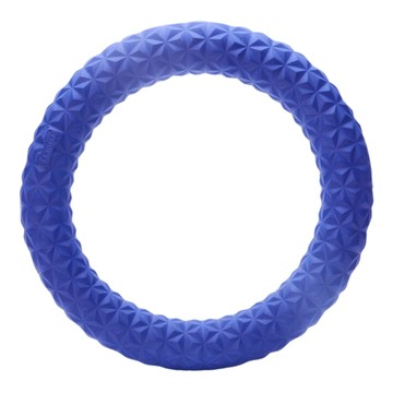 EETOYS 宜特 互動泡棉環 水陸兩用  直徑17.5cm  EVA材質  藍色  1個