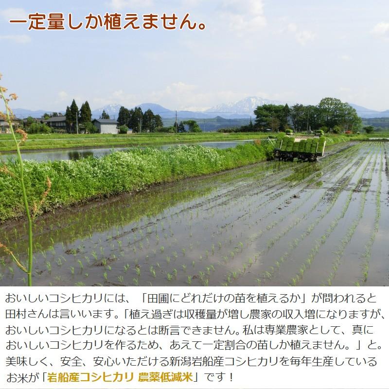 新潟県岩船産 コシヒカリ 1kg×2袋 2kg 除草剤を1度しか使っていない米 お米 白米 特A 送料無料