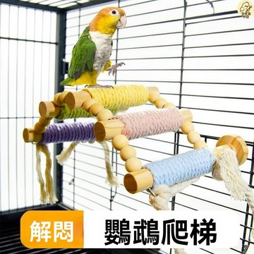 🔥免運下殺🔥鳥籠玩具 鸚鵡爬梯 鸚鵡雲梯 鸚鵡鳥爬梯 實木麻繩馬卡龍攀爬雲梯 鳥籠解悶玩具 鳥籠造景 鳥玩具