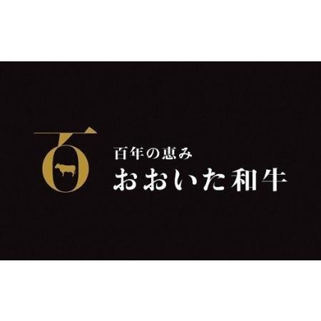 ふるさと納税 D-115 片桐さんの「おおいた和牛」すき焼きカルビ（600g） 大分県豊後高田市