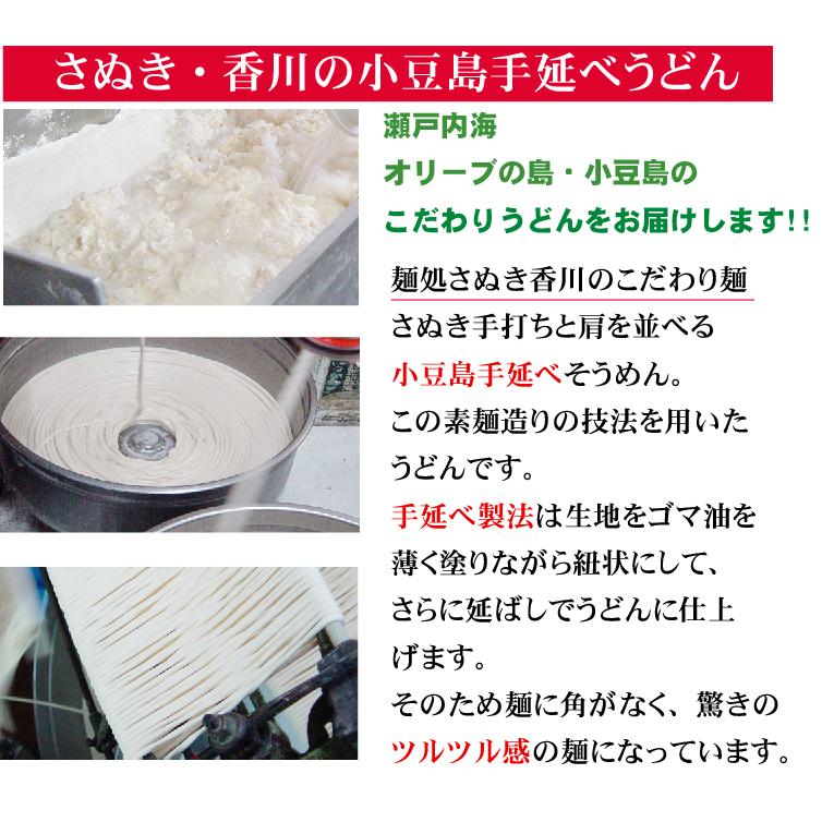 ＼ ギフトあったかうどん ／ 小豆島　冷凍手延べうどんカレーうどん入　具材付4種×2食セット　送料無料