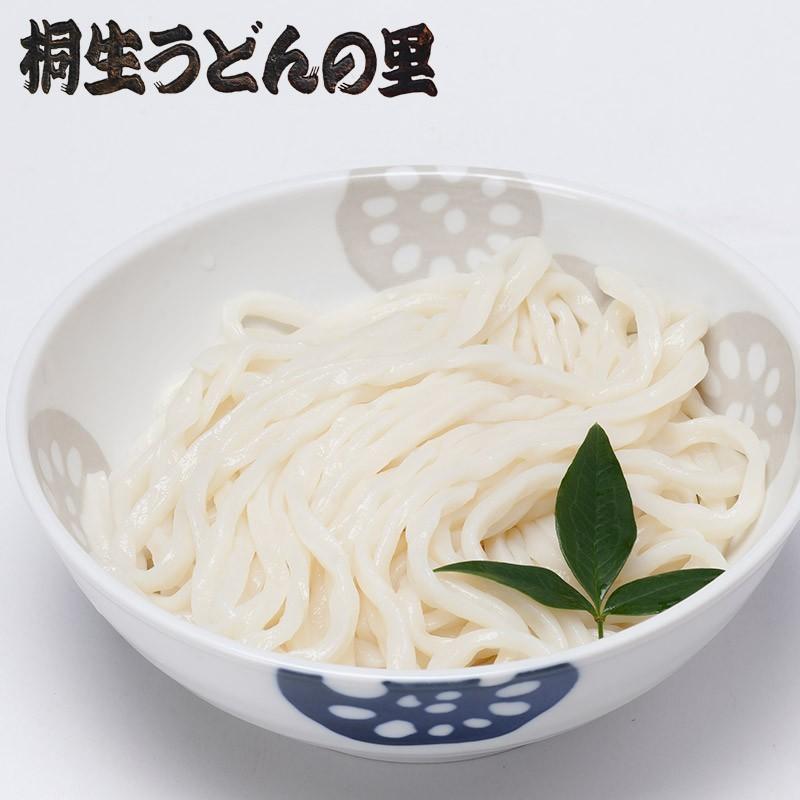 桐生の波打うどん ねじれうどん 5袋（300g×5） 送料無料 半生麺 デコボコ麺 なみうちうどん うどん 群馬 贈答品