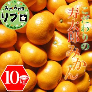 ふるさと納税 寿太郎 みかん 10kg 産地直送 柑橘 訳あり（寿太郎 みかん 西浦 みかん 蜜柑 果物 みかん フルーツ みかん 柑橘 農家直送 みかん .. 静岡県沼津市