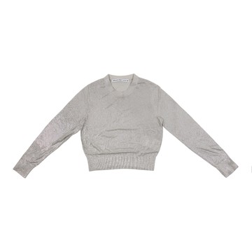 alexanderwang 香檳色水晶燙鑽套頭衫