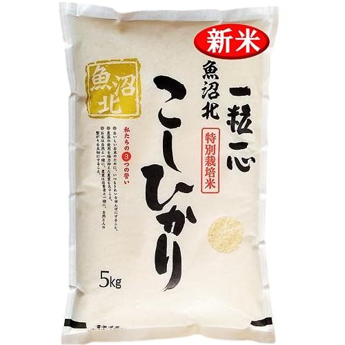 新米 魚沼産コシヒカリ(5kg) 精米令和5年産