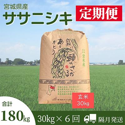 ふるさと納税 登米市 2024年1月発送開始『定期便』宮城県登米市産ササニシキ(玄米)30kg　全6回