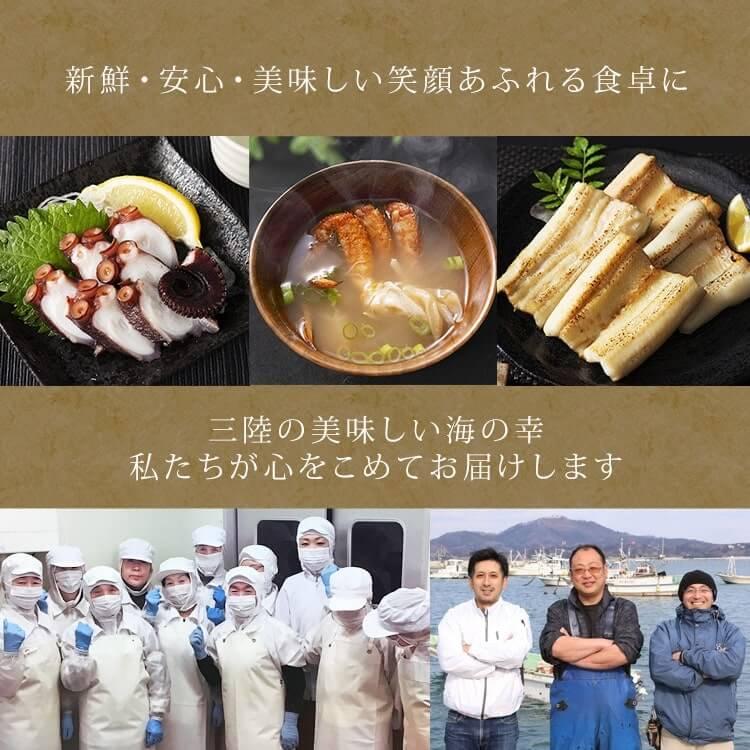 わかめ 冷蔵 三陸産 塩蔵わかめ 500g 代引不可 三陸未来 海藻