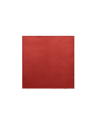 Studio Doe - Premium 桑蠶絲緞光絲巾