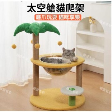 【寵愛毛宅】椰子樹貓跳台 貓抓柱 透明貓窩 壓克力貓碗 劍麻耐抓不掉屑 貓咪爬架 吊球玩具 小型貓爬架