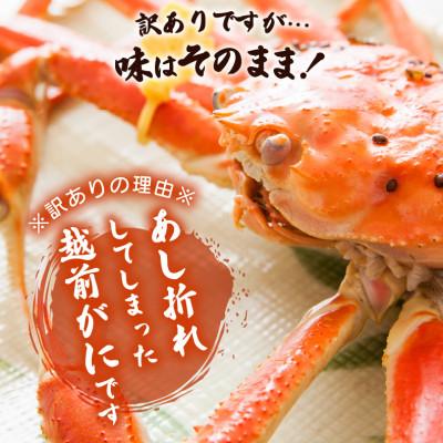 ふるさと納税 越前町 地元鮮魚店厳選  ≪浜茹で≫ 足折れ 越前がに 中サイズ 1杯