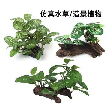 💕在臺出貨🔥仿真水草龜魚缸佈景植物水族箱造景裝飾品樹脂沉木景觀守宮躲避屋 仿真水草 魚缸造景 仿真植物 水族造景 假水草
